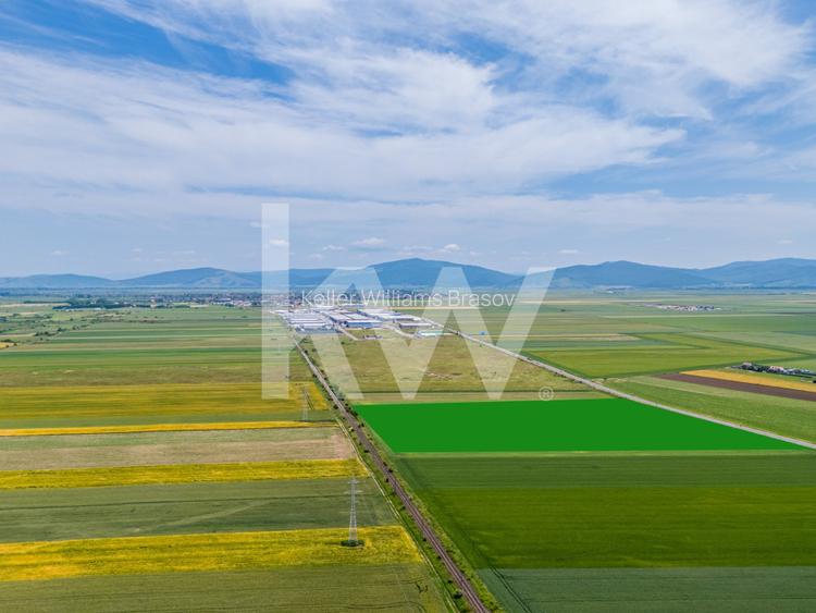 Teren de vanzare I 43 500 mp I Deschidere la drum - Harman - 5