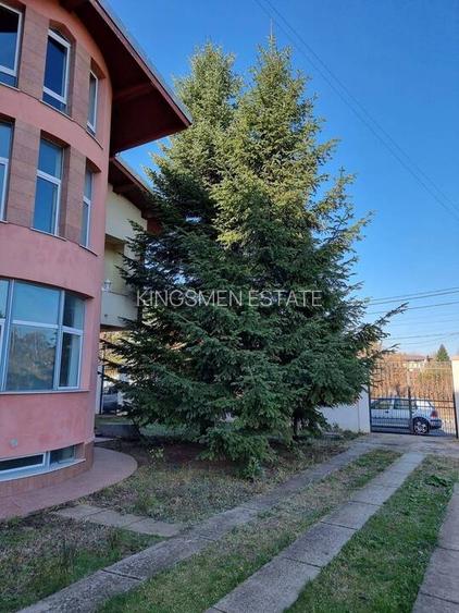 Propietate deosebila de peste 750 mp utili in Otopeni! - 7