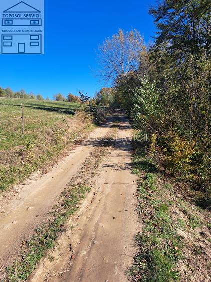 Teren extravilan in localitatea Bulz - 2