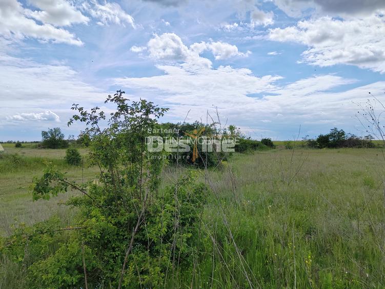 Teren extravilan, 114000 mp, Parc industrial West Park - 18