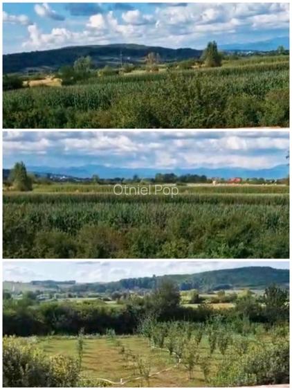 Casă P+E 2025 la roșu și teren generos (48 ari intravilan/împrejmuit ) în Sălsig - 5