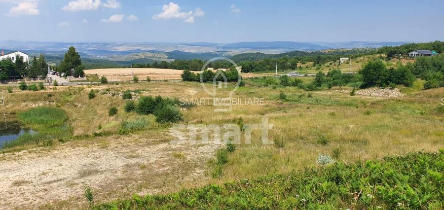 Teren deosebit la intrare in Salicea, 65 euro/mp - 4