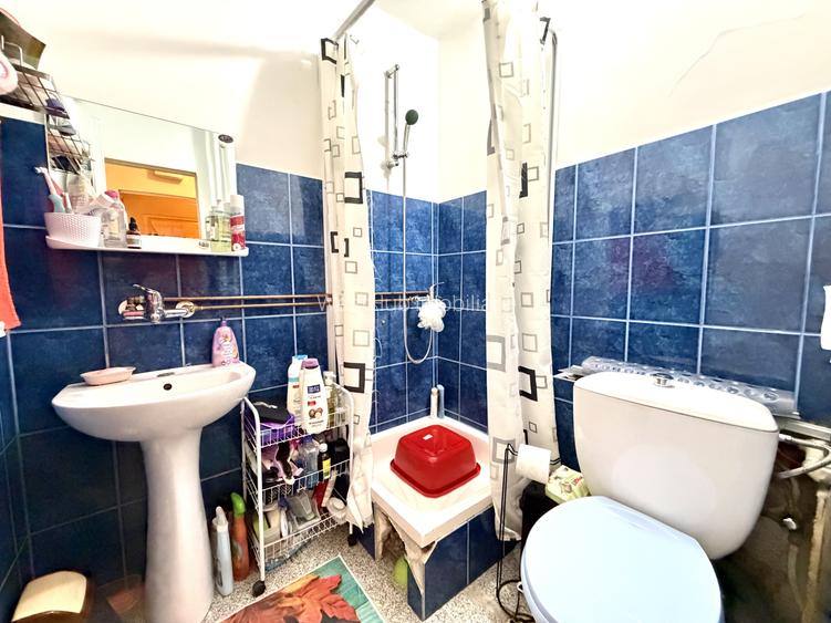 Apartament 1 camera, 27 mp utili, etaj 2 - zona Calea Buziasului - 5