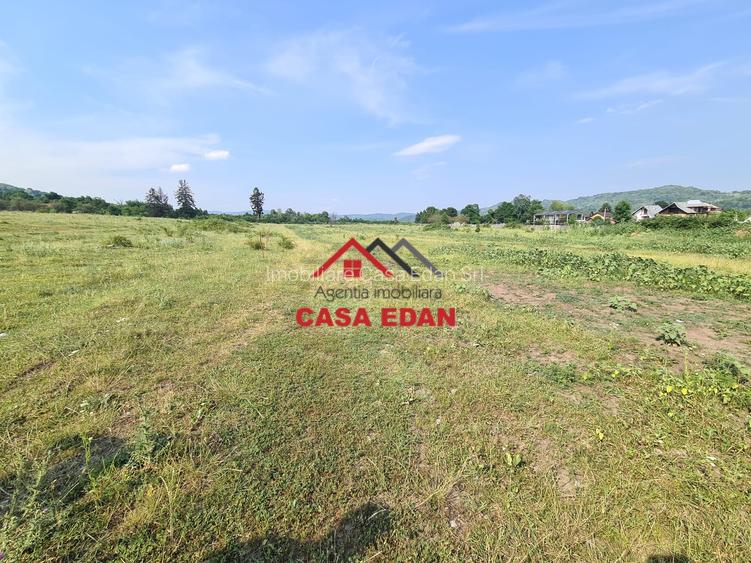 Teren intravilan in Campina, 7500mp--35e - 8