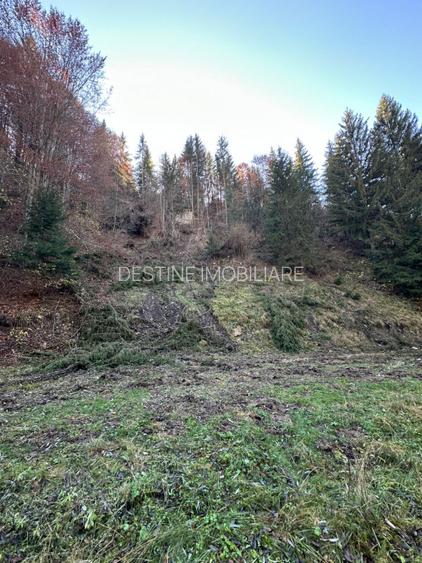 Teren 2.882 mp – oportunitate investitie - Cheile Dambovicioarei - 2