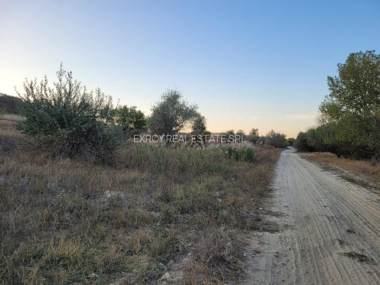 Teren Cernavodă 14.000 m/4 euro m - 3