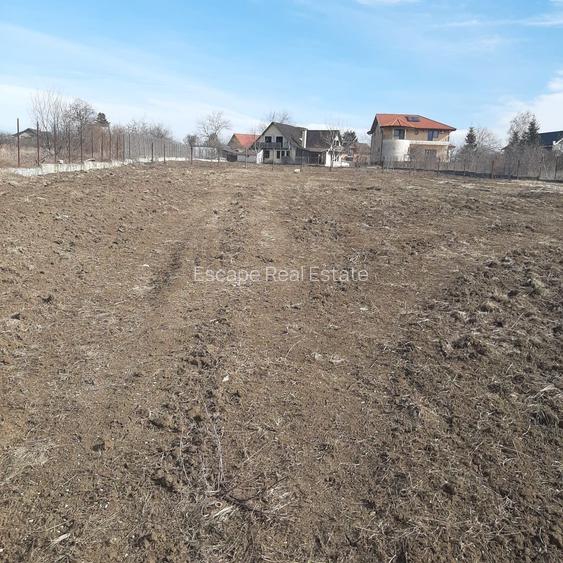 Teren la Lac intravilan construcții Corbeanca Ilfov - 3