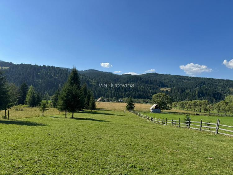 Vanzare 16700 - 9 loturi - Plaiul Sarului la sosea- microdezvoltare langa oras - 8