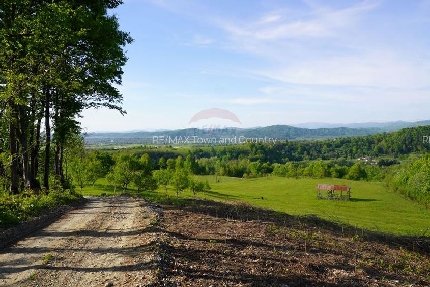 Teren 15,000mp Sighetu Marmatiei / Strada Mocanitei - 8