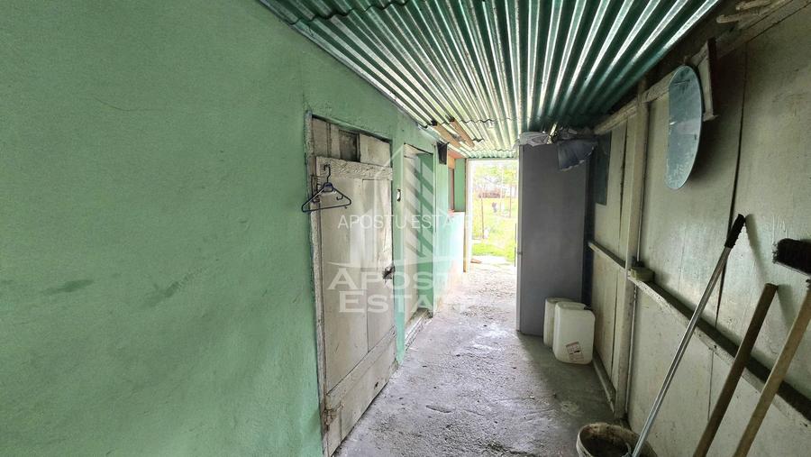 Casa individuala, zona Mehala, 740 mp teren - 9