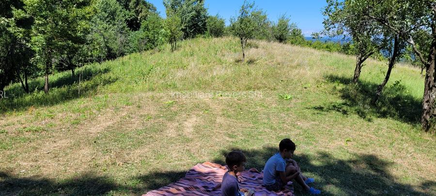 Teren livadă cu panoramă superbă Dealul Malului pentru casă sau cabană - 29