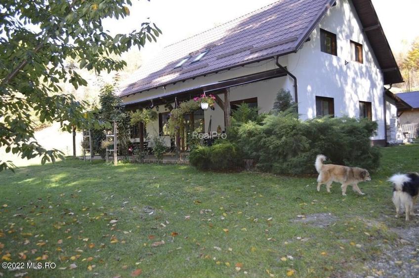 Topoloveni - Conacul Ion Mihalache, Domeniu pe 5 Hectare! - 6