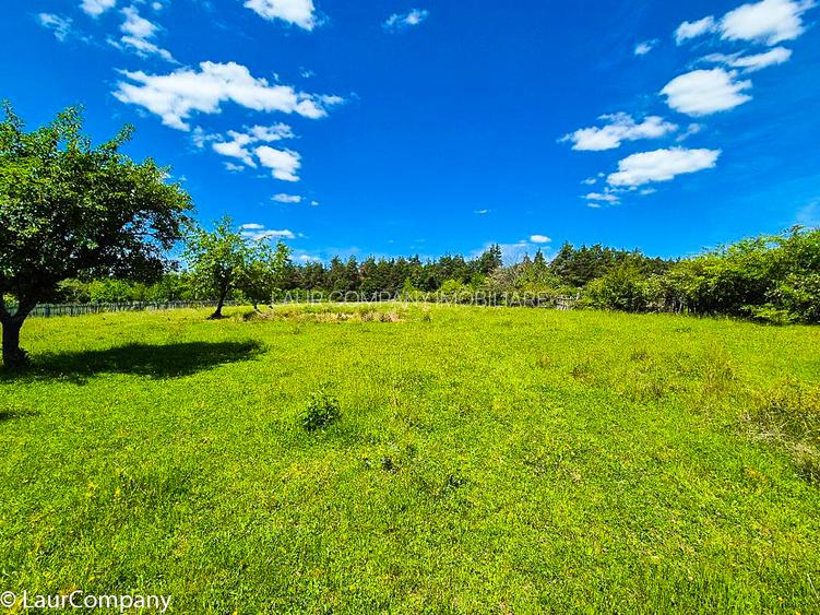 Teren intravilan   Cotmeana Arges - 4