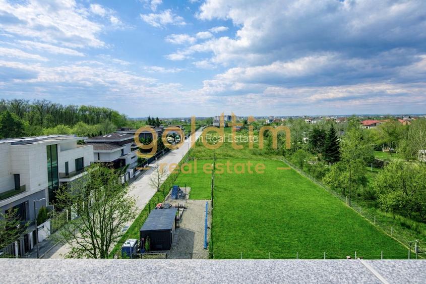PRIVELISTE NEOBTURATA/SUPERB/PADUREA BANEASA/ ZONA LINISTITA - 21