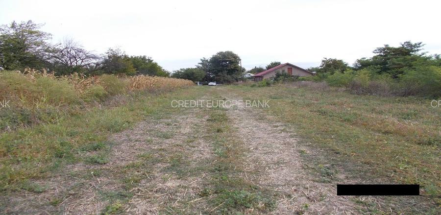 Teren intravilan ,Crevedia - 4