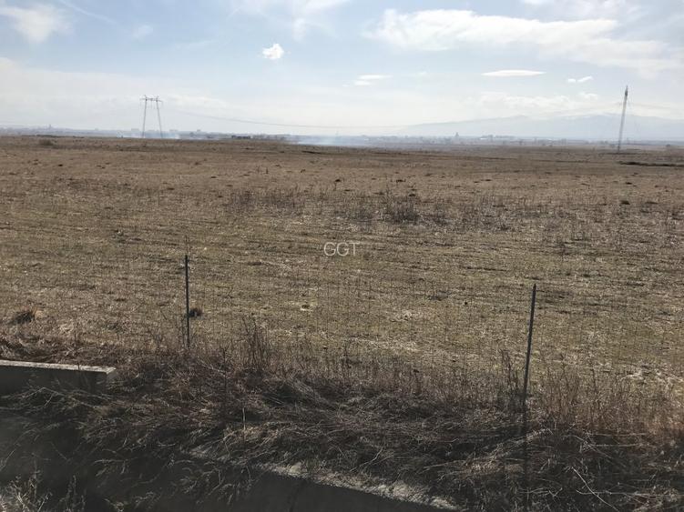 Teren de vanzare 20.000 mp pretabil benzinarie centura, direct de la proprietar! - 4