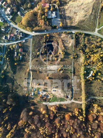 Teren deosebit la intrare in Salicea, 65 euro/mp - 6