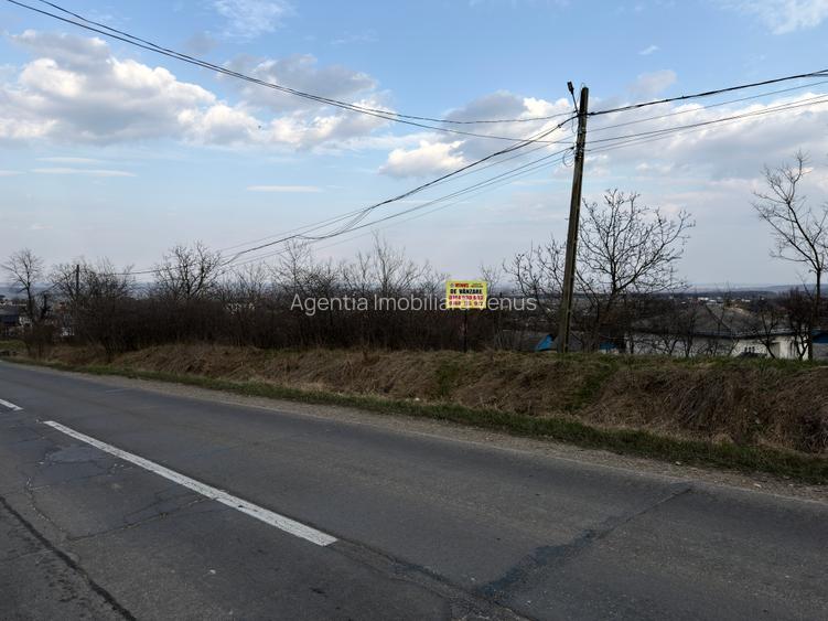 Teren intravilan in Cucorani la asfalt, 807mp, 24ml la asfalt si 33ml la drum se - 2