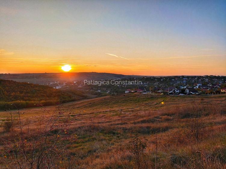 Teren intravilan 704 mp, acces asfaltat, priveliste Padurea Breazu - 15