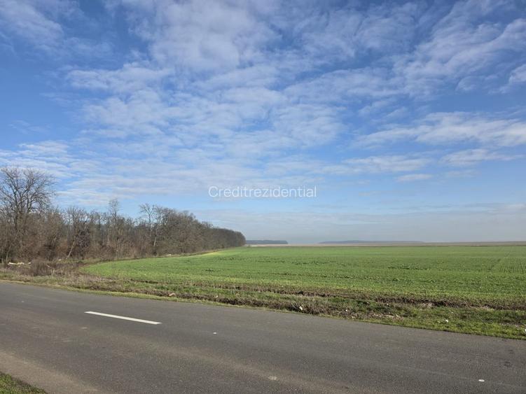 FUNDENi-Oportunitate Majoră de Investiție: 92 286mp - PRET IMBATABIL! - 3