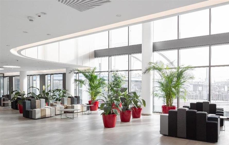 Birouri de inchiriat in Orhideea Towers - 510 mp - 6