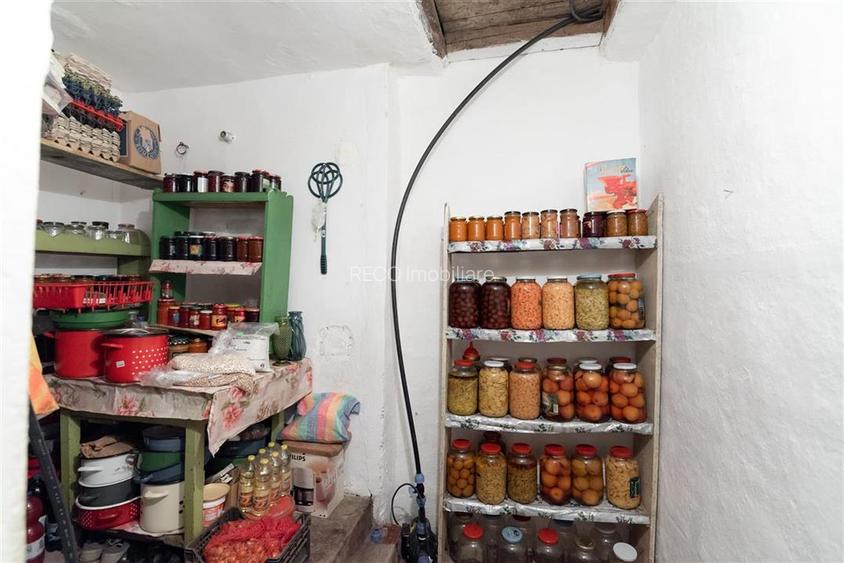 Teren mare cu 2 case si front la 2 strazi in Tamaseu - 16