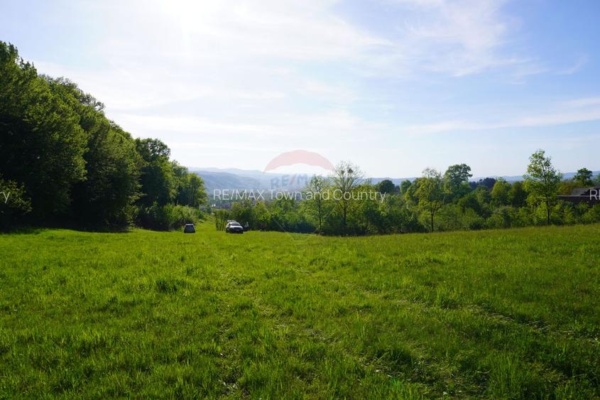 Teren 33,137mp Sighetu Marmatiei / Strada Mocăniței - 5