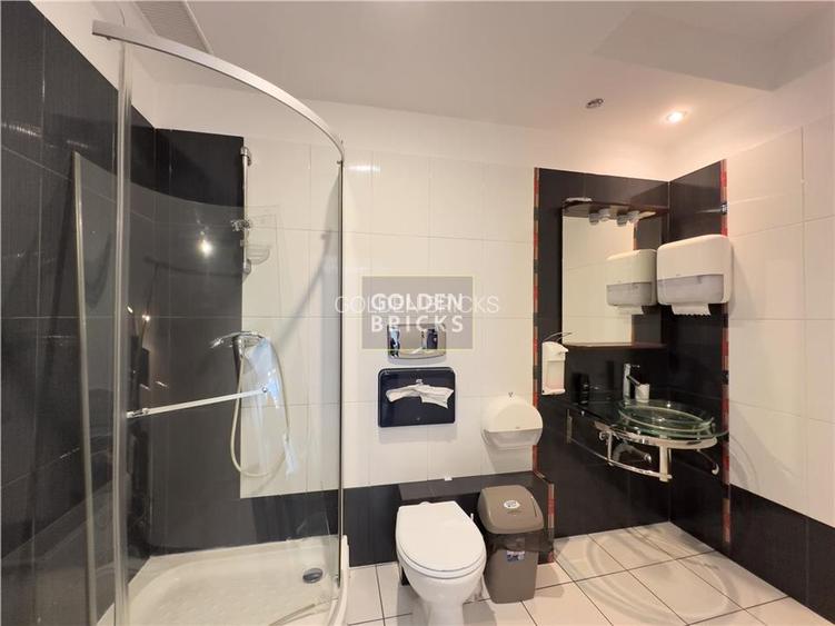 Herastrau |N. Caramfil | Renovat integral | Acces dedicat | Parcare - 18