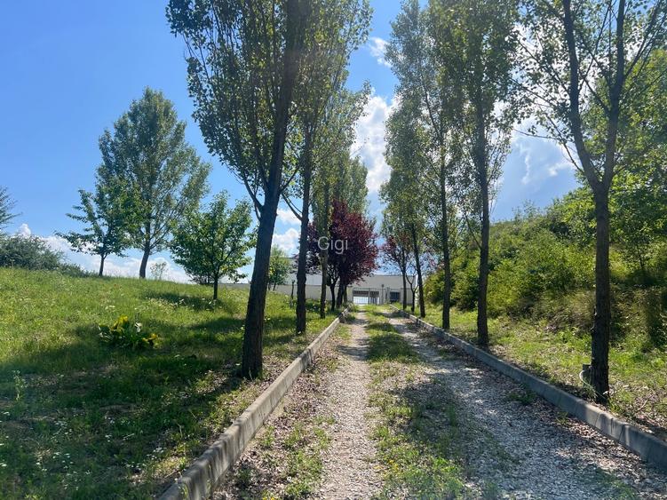 Casa cu variante de dezvoltare pensiune,clinica sau casa particulara privata 100 - 5