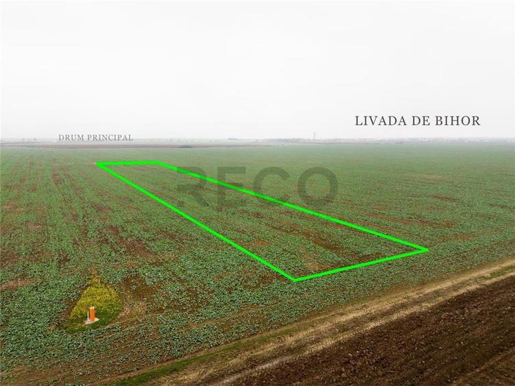 RECO Teren extravilan 5800 mp Livada de Bihor