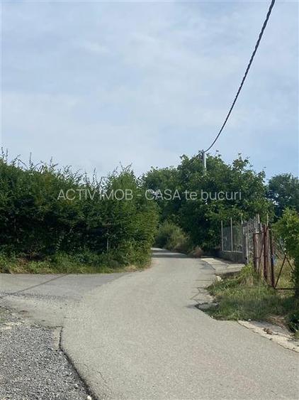 Teren de vanzare in Rasinari posibilitate de racordare la curentul electric - 6