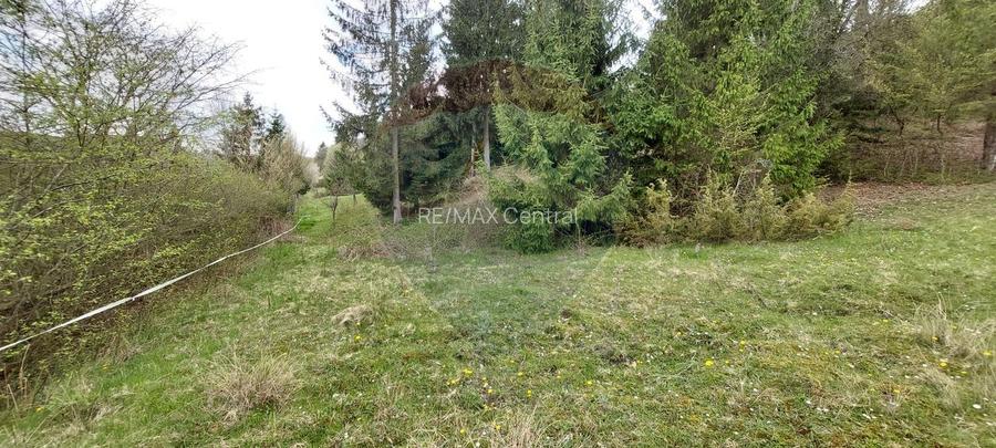 Poienita 2800mp, Covasna, zona hotel Clermont, inconjurat de padure - 22
