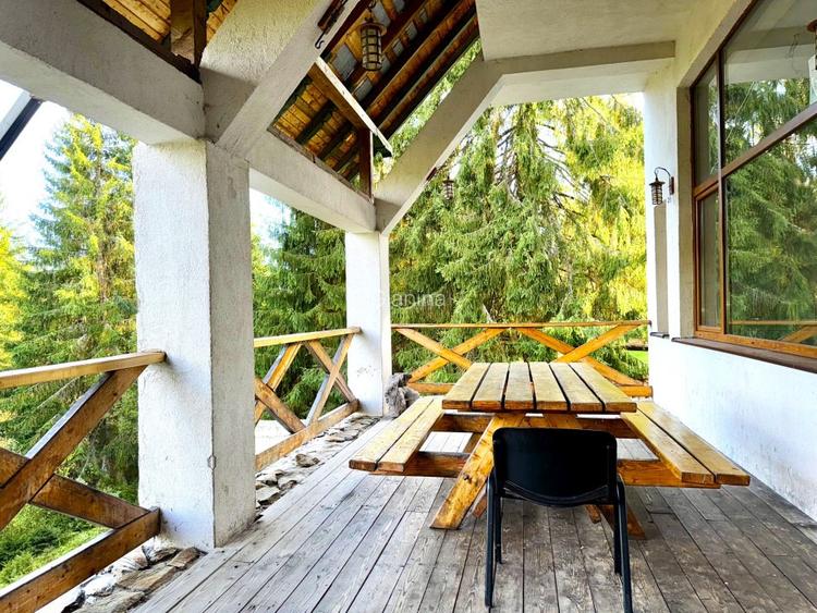 Liniște și natură în inima Bucovinei - 10