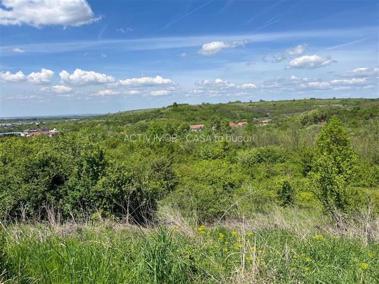 Lugoj Teren  8.200 Mp., Dealul Viilor, Priveliste Impresionanta - 14