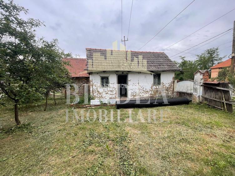 Casa Babsa, comuna Balint 2084mp teren - 11