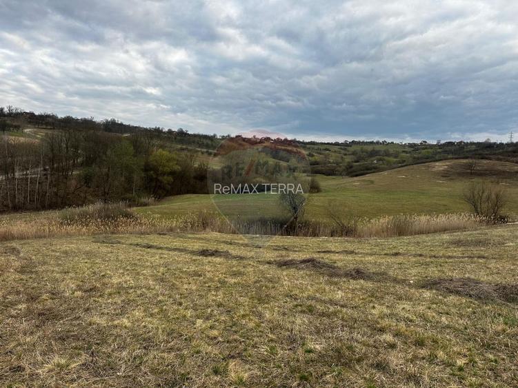 Teren cu panorama superba în Berchezoaia + bonus rulota - 6