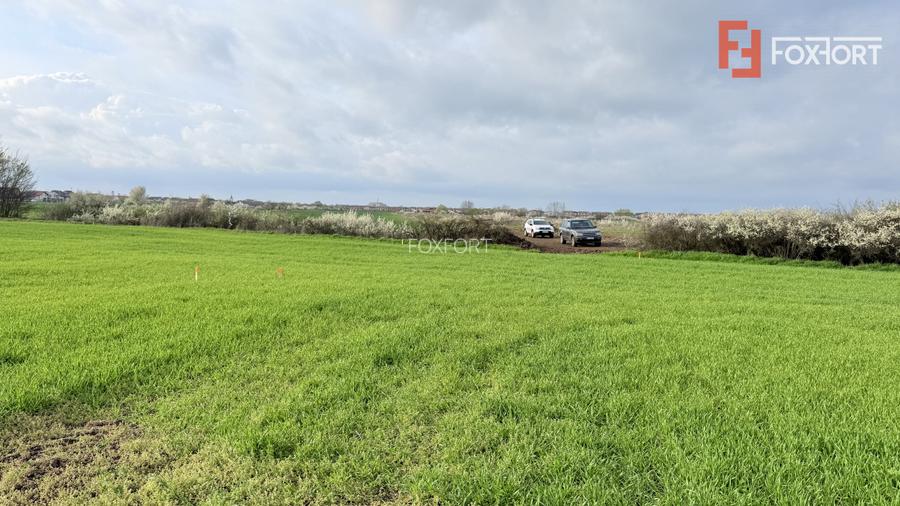 Parcela de teren intravilan de vanzare, 502 mp - Sacalaz - 4