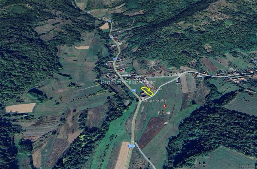 Loc de casa in Ranusa, Jud. Arad 1000 mp - 4