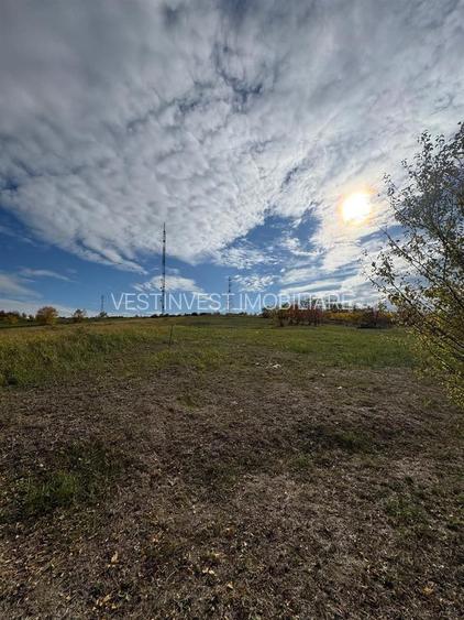 Teren intravilan Dealuri Oradea 3649 mp - 3