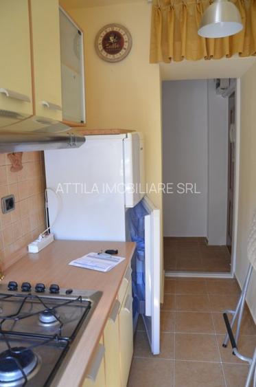 Circumvalatiunii 2 camere 350 euro - 6