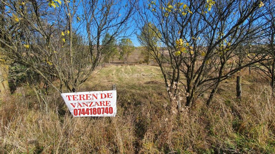 Teren intravilan cu CF - Salistea Veche - 3