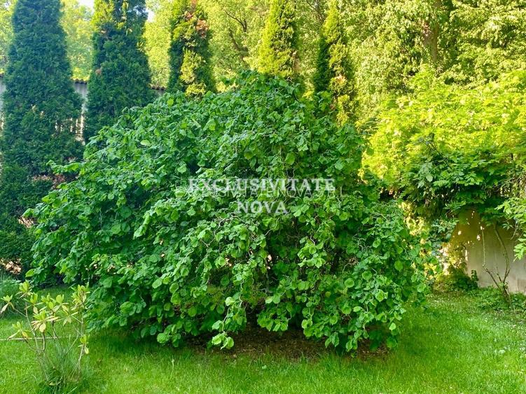 Vanzare Vila Baneasa - Willbrook - cu Deschidere la Padure ! - 24