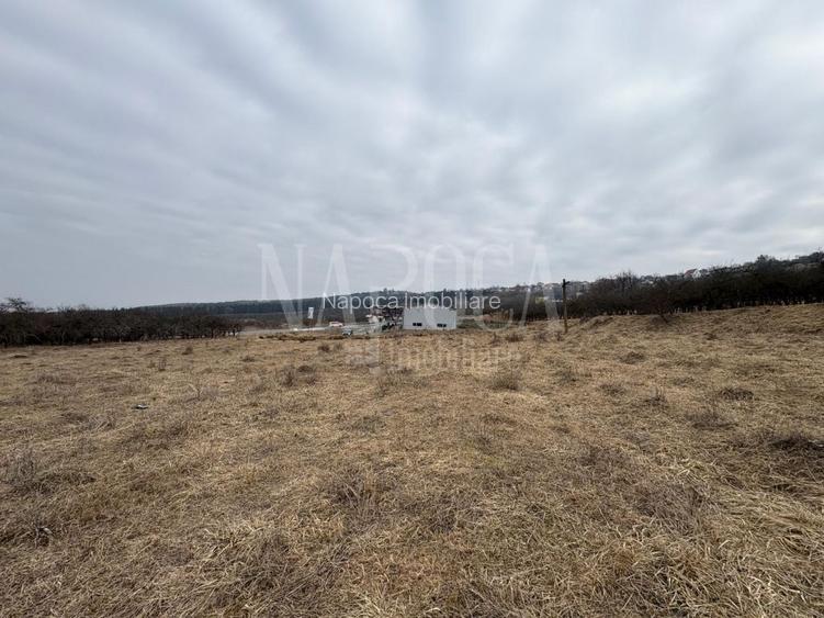 Teren intravilan pentru constructii de vanzare in Feleacu - 2