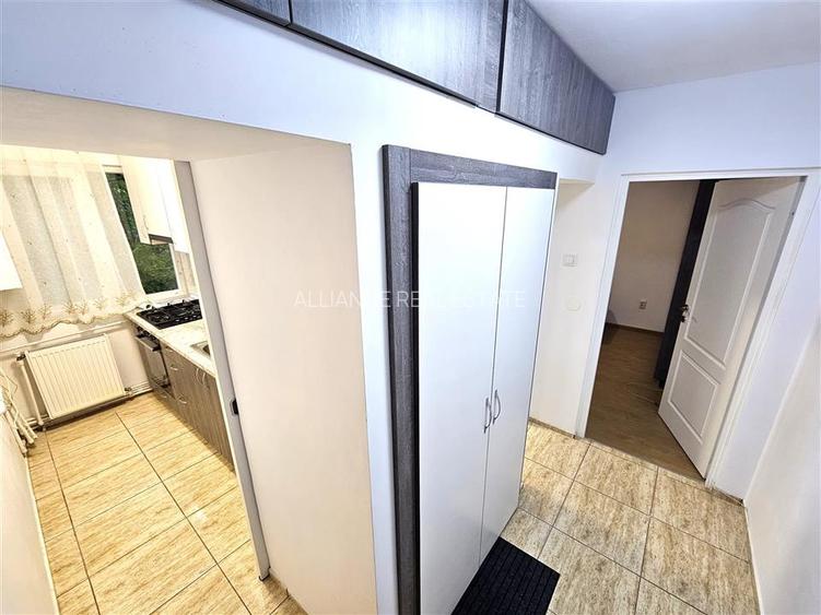 Alexandru cel Bun,Minerva, apartament recent amenajat - 7