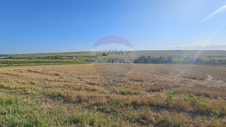 Teren intravilan, 7500 mp in Moara Carp / Strada Eternitatii-Suceava - 8