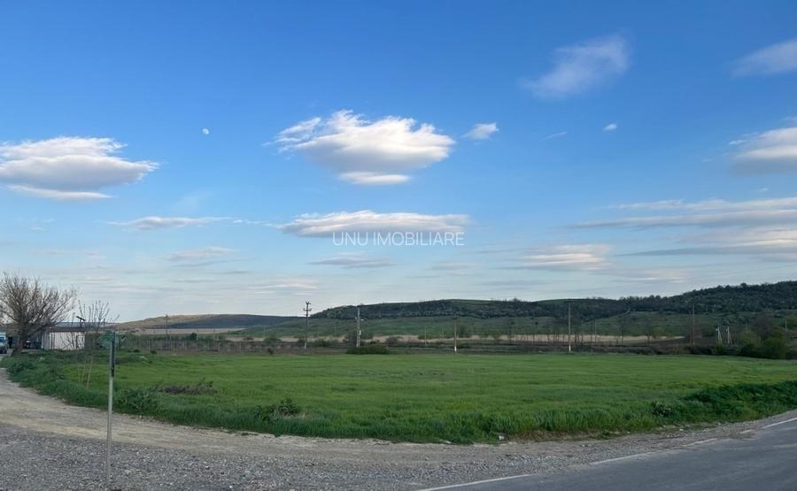Teren 1.1 Ha Intravilan Sîrca Iași la E85 E583  DN28 PUZ Aprobat - 5