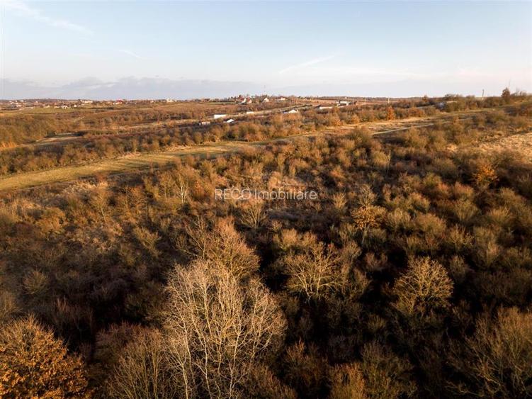 Reco Teren intravilan in Saldabagiu de munte 4333MP - 12