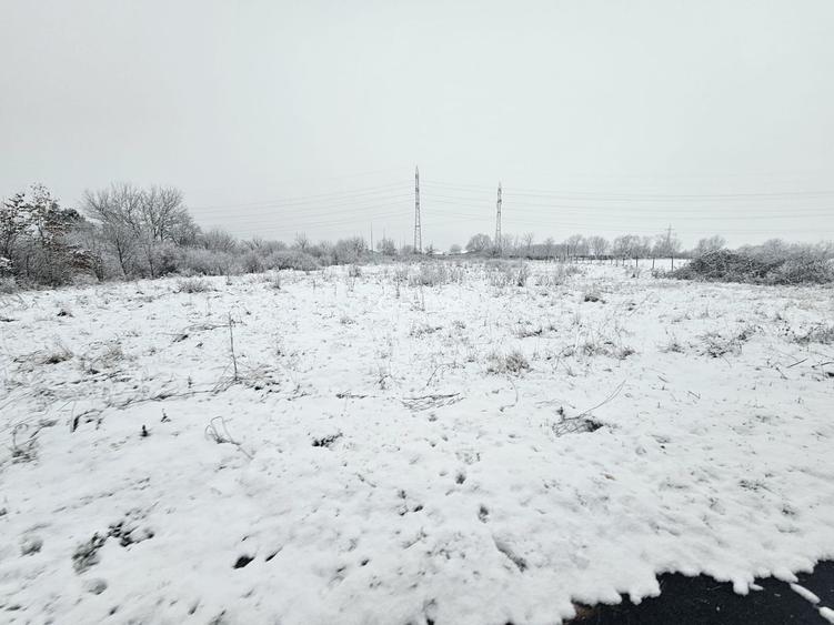 5876 MP , RONAT , TEREN INTRAVILAN - 3