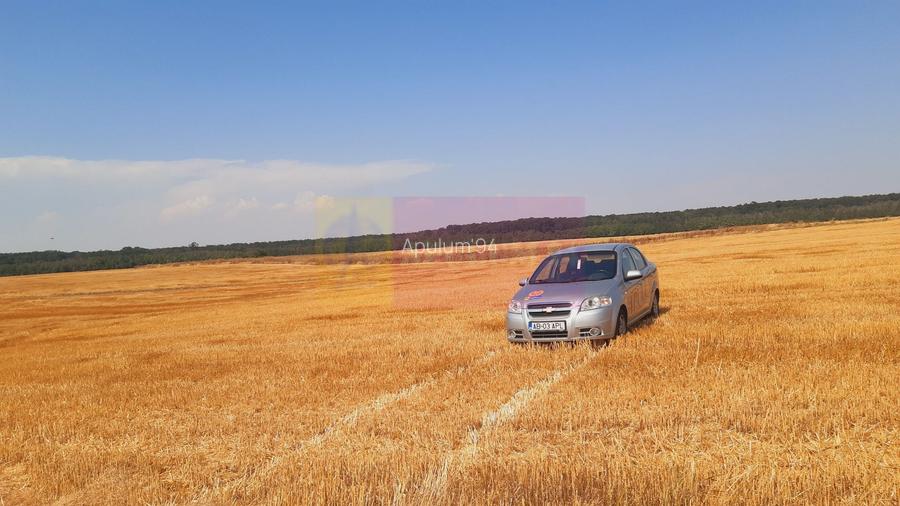 Teren pentru casă/case în Brănești pe strada Toporași - 6