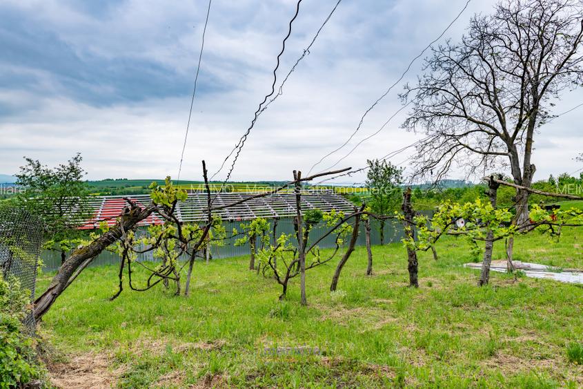 Casă din chirpici, bucătărie de vară și 1.34 ha de teren, Ardeoani - 5